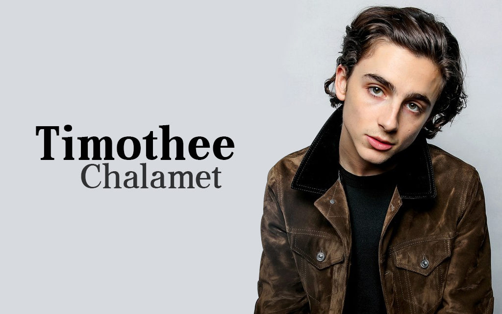 Timothee Chalamet Good Looks, Talent, and Style